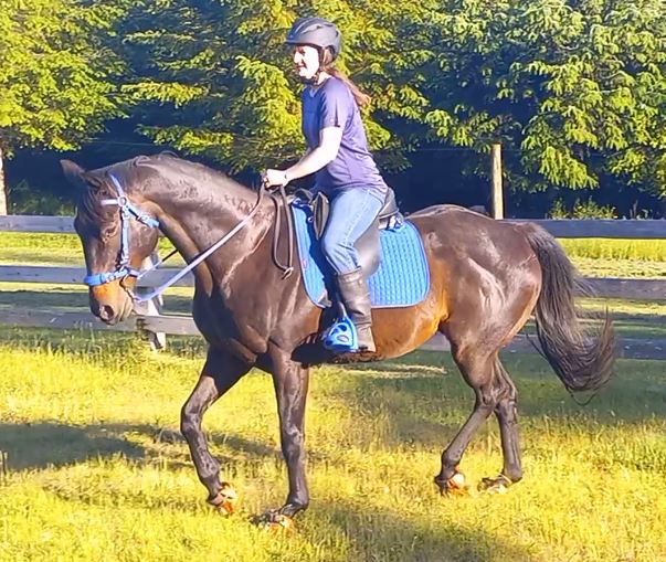 Best tall riding clearance boots for short legs