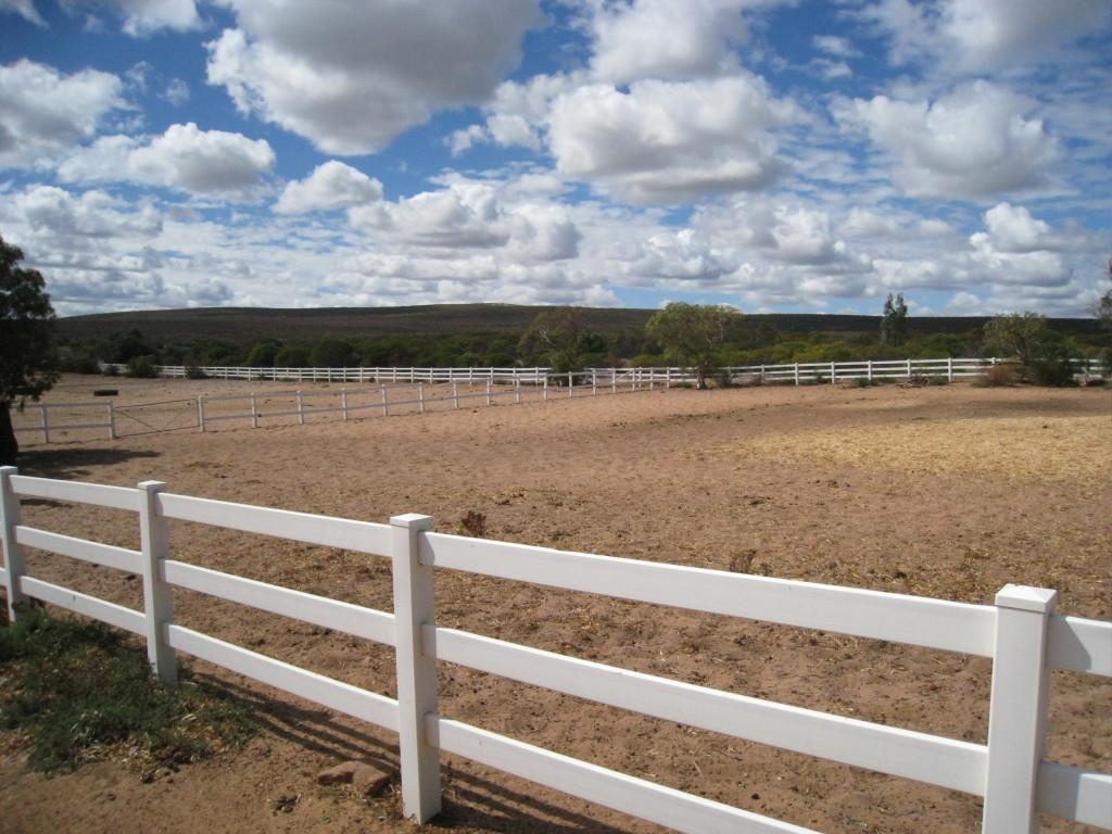 91 Australia Horse Ranch