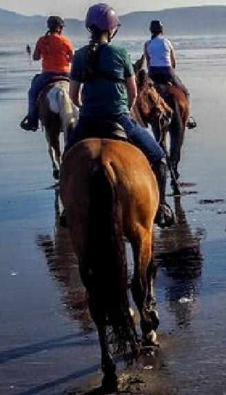 Brave calm
