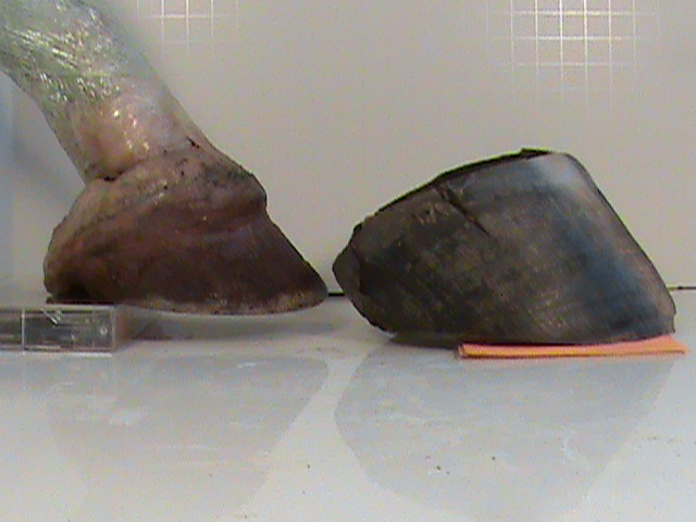 DSC00071