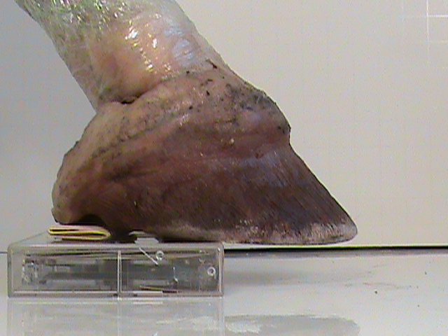 DSC00073