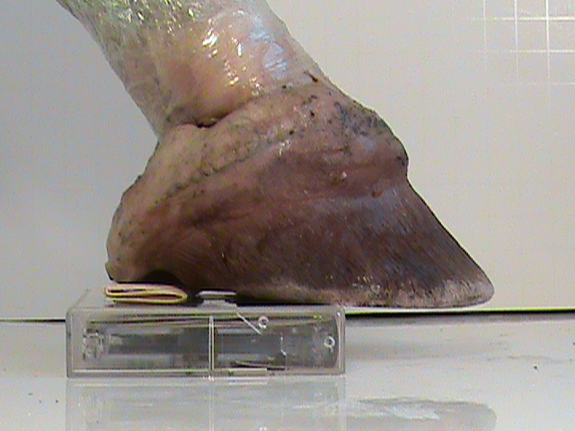 DSC00074