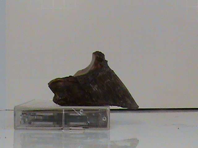 DSC00075