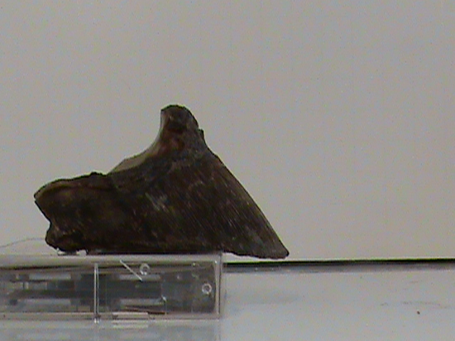 DSC00078