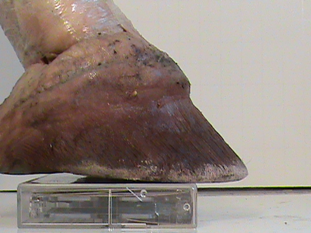 DSC00079