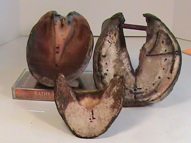 DSC00086