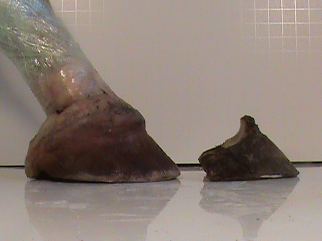 DSC00087