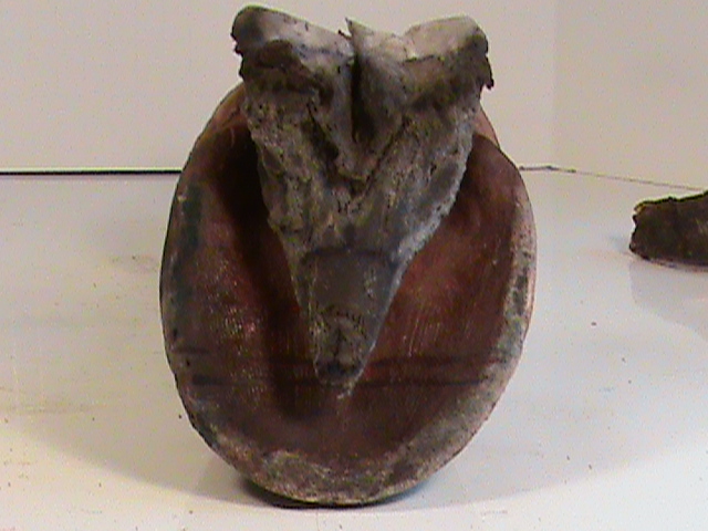 DSC00093