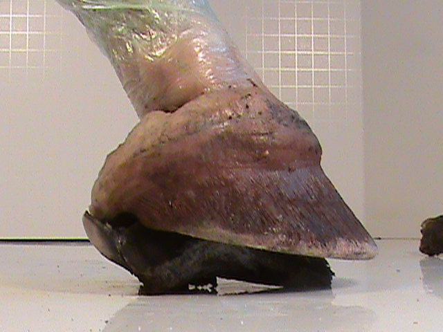 DSC00097