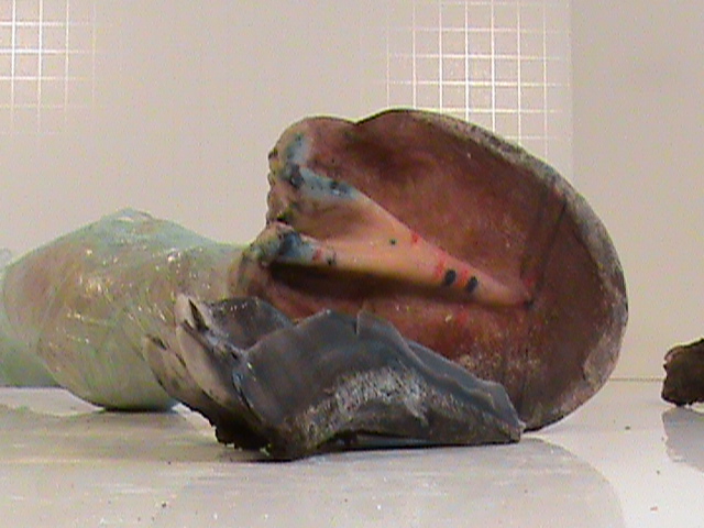 DSC00098