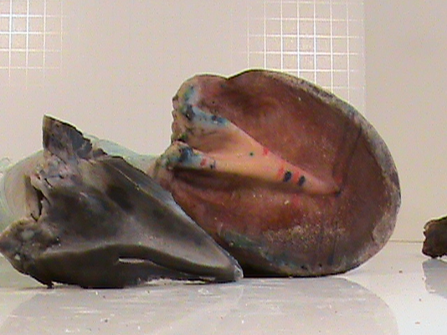 DSC00099