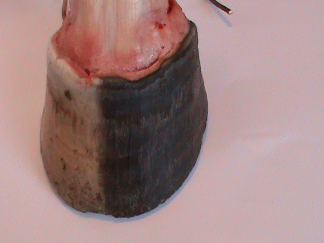 DSC00903