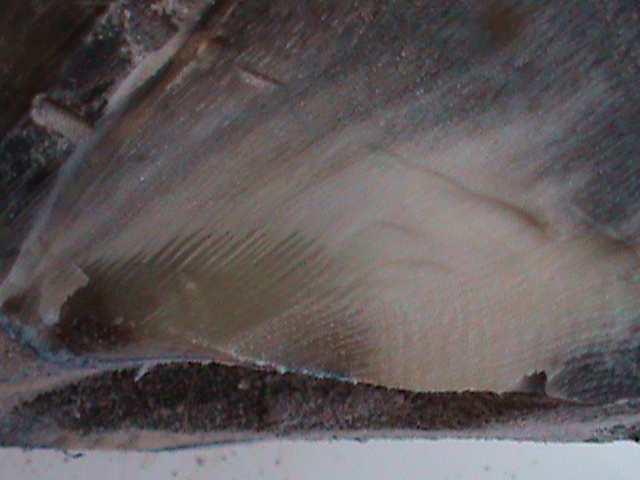 DSC00961