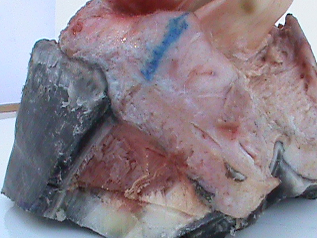 DSC00966