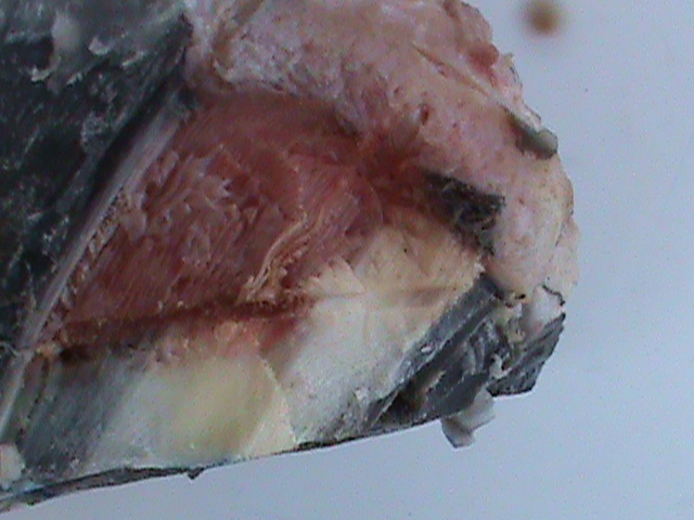 DSC00969
