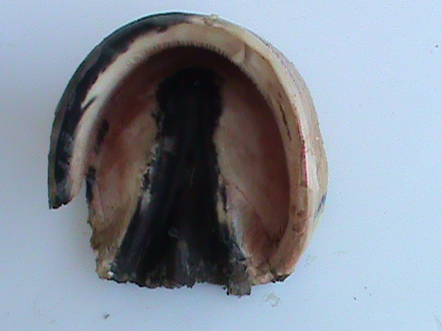 DSC00989