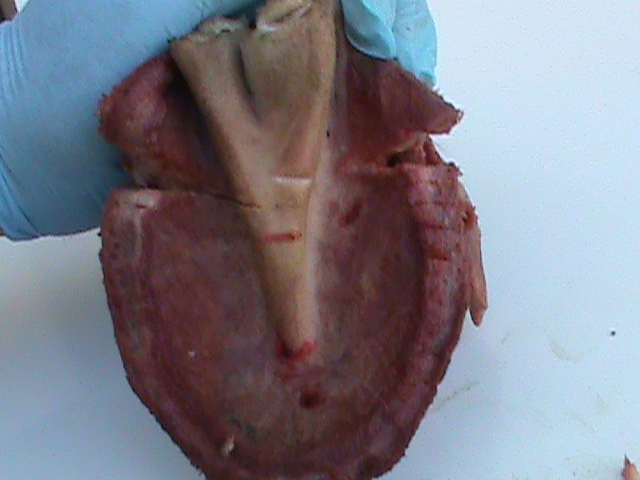 DSC01016