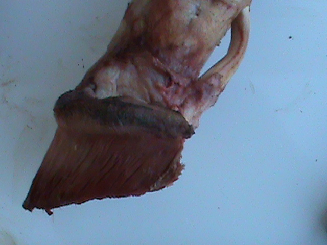 DSC01030