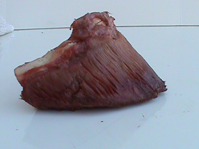 DSC01039
