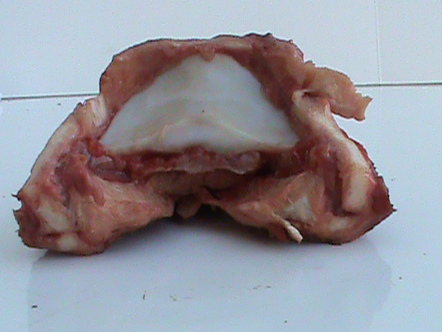 DSC01042