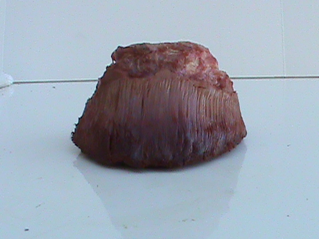 DSC01043