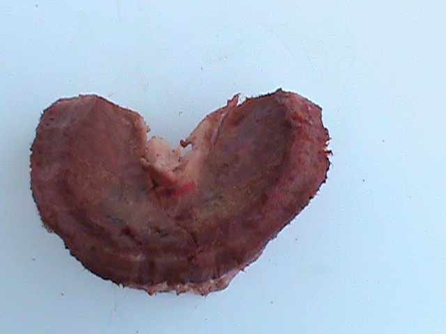 DSC01045