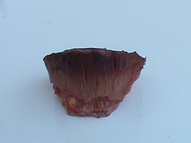 DSC01046