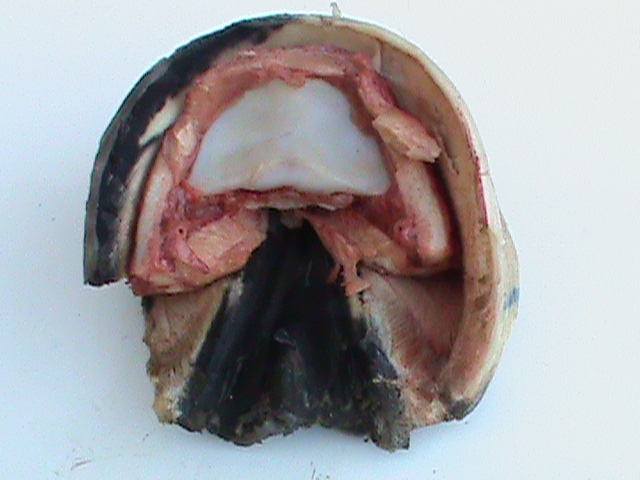 DSC01048