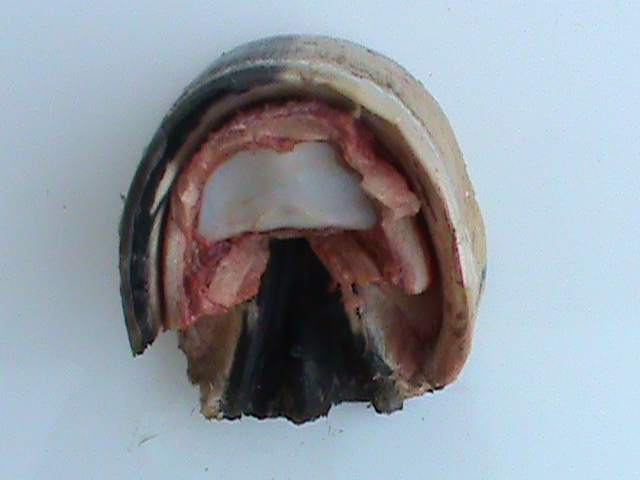 DSC01049