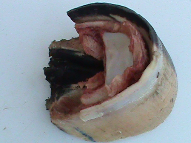 DSC01051