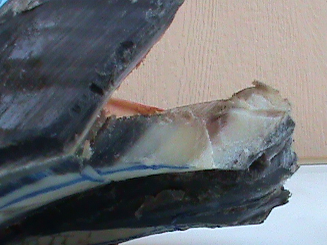 DSC01126