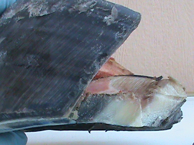 DSC01133