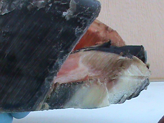DSC01134
