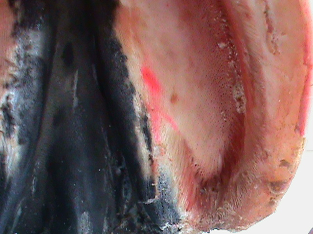 DSC01140