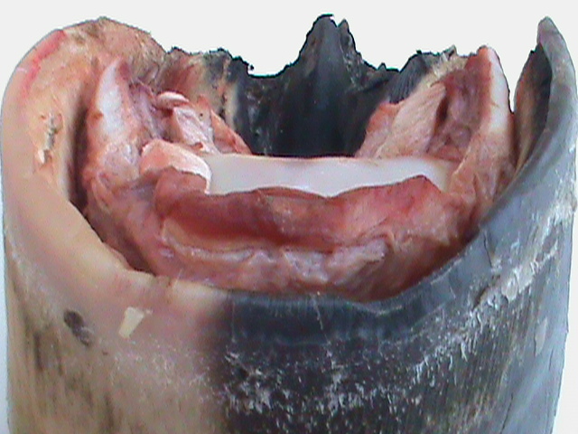 DSC01149