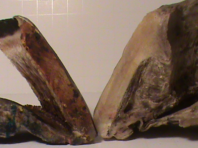 DSC01362