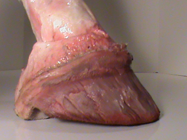 DSC01404