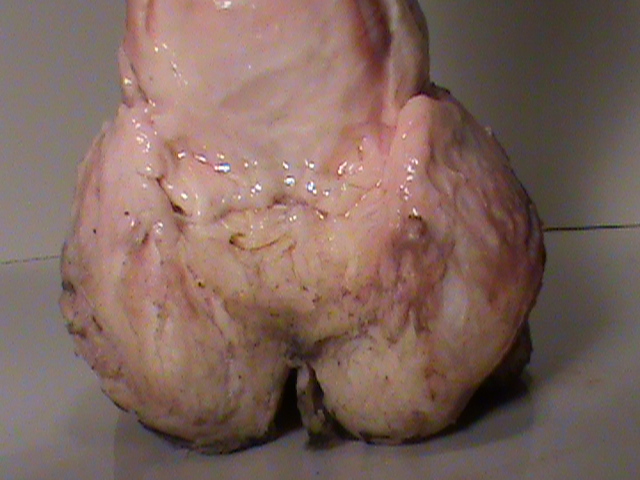 DSC01408
