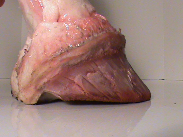 DSC01409