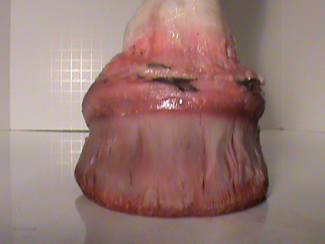 DSC01418