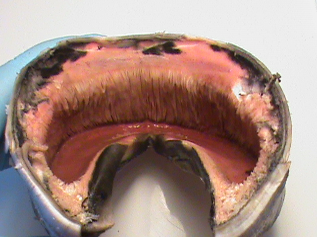 DSC01428
