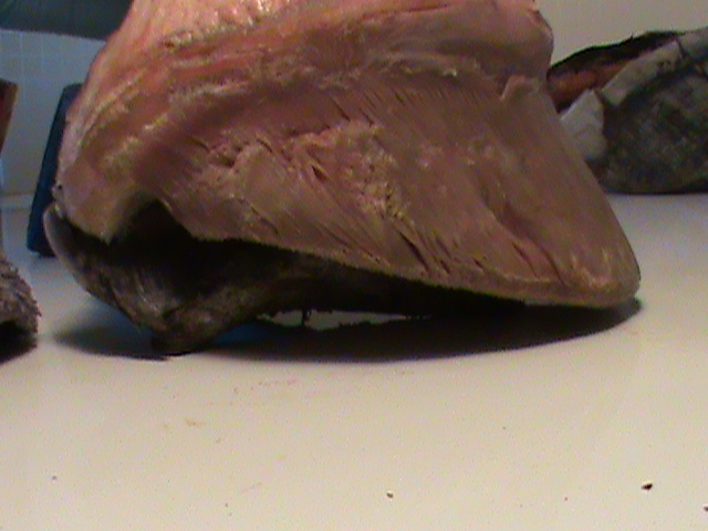 DSC01445