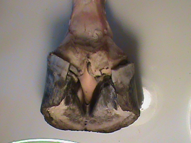 DSC01456