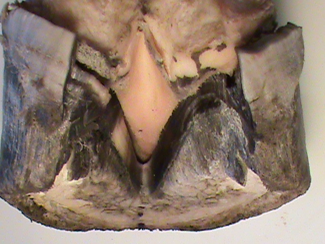 DSC01457