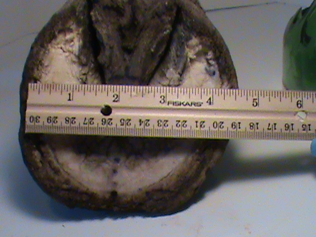 DSC01466