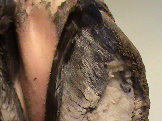 DSC01474