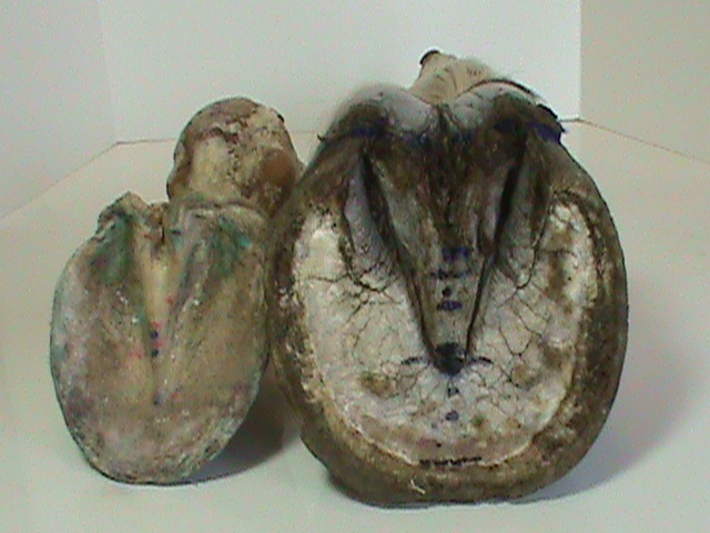 DSC01782