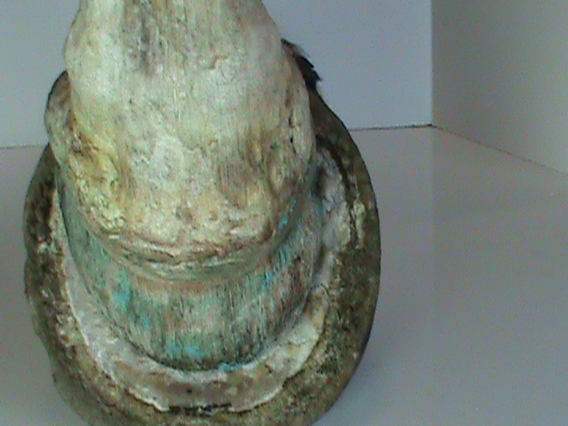 DSC01786