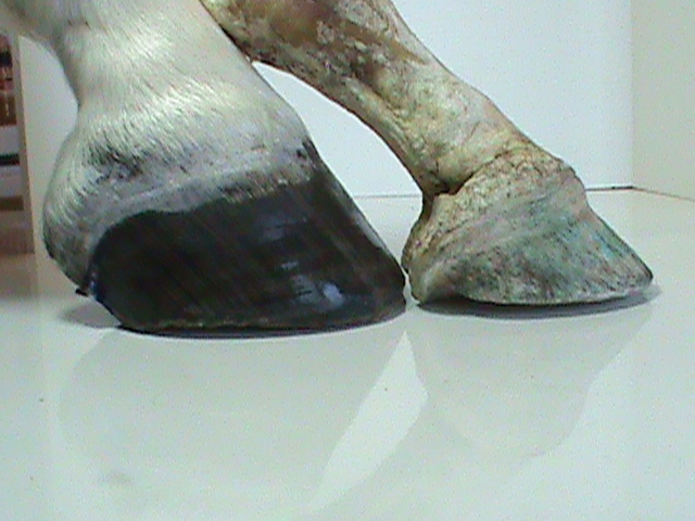 DSC01789