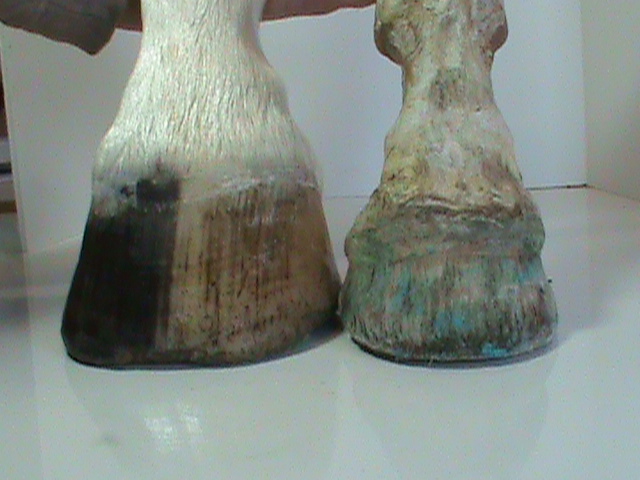 DSC01790